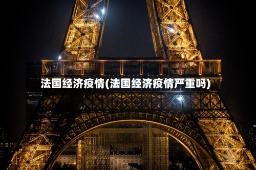 法国经济疫情(法国经济疫情严重吗)