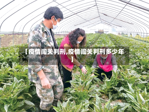 【疫情闯关判刑,疫情闯关判刑多少年】