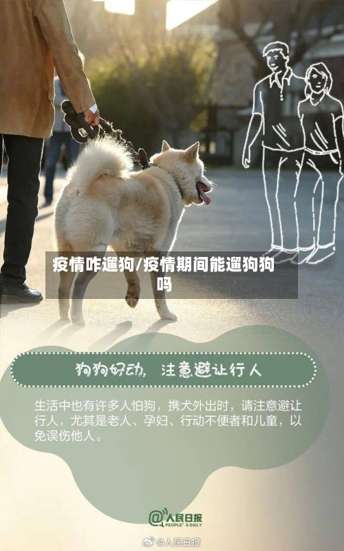 疫情咋遛狗/疫情期间能遛狗狗吗