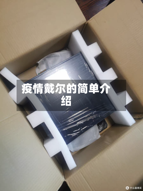 疫情戴尔的简单介绍