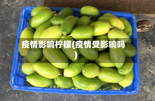 疫情影响柠檬(疫情受影响吗)