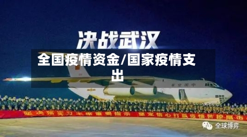 全国疫情资金/国家疫情支出