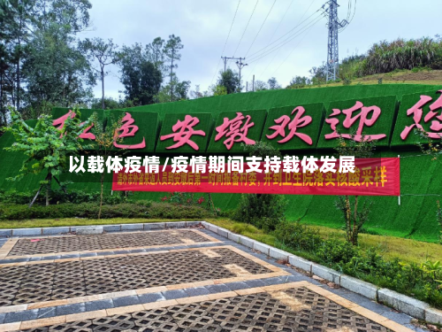 以载体疫情/疫情期间支持载体发展