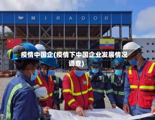 疫情中国企(疫情下中国企业发展情况调查)