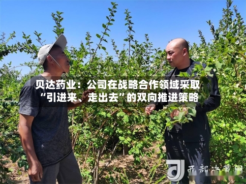 贝达药业:公司在战略合作领域采取“引进来、走出去”的双向推进策略