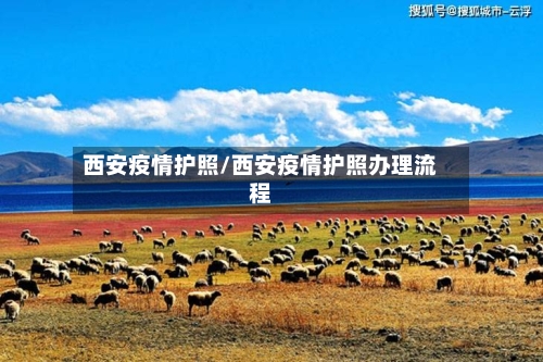 西安疫情护照/西安疫情护照办理流程