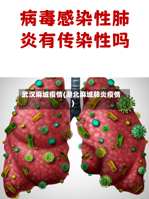 武汉麻城疫情(湖北麻城肺炎疫情)