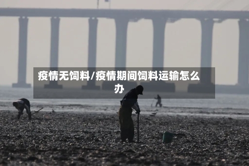 疫情无饲料/疫情期间饲料运输怎么办