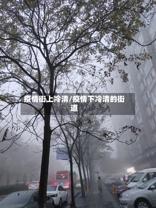 疫情街上冷清/疫情下冷清的街道