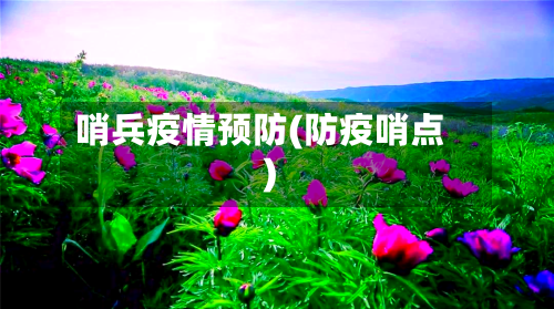 哨兵疫情预防(防疫哨点)