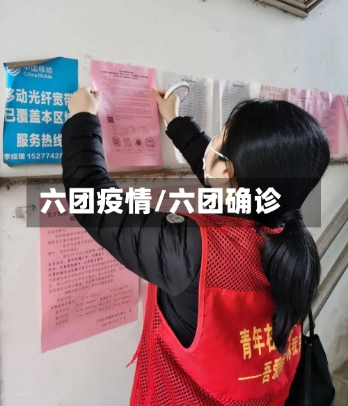 六团疫情/六团确诊