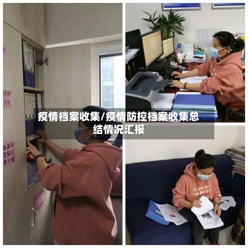 疫情档案收集/疫情防控档案收集总结情况汇报