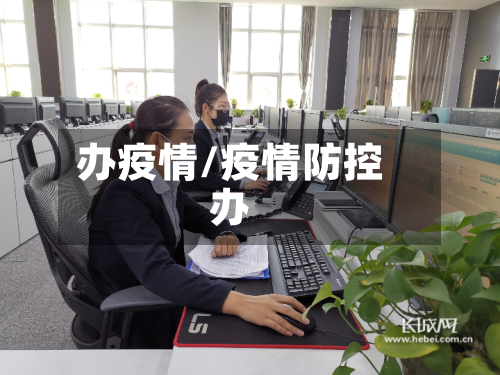 办疫情/疫情防控办