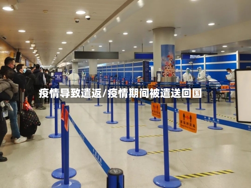 疫情导致遣返/疫情期间被遣送回国