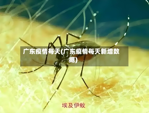 广东疫情每天(广东疫情每天新增数据)