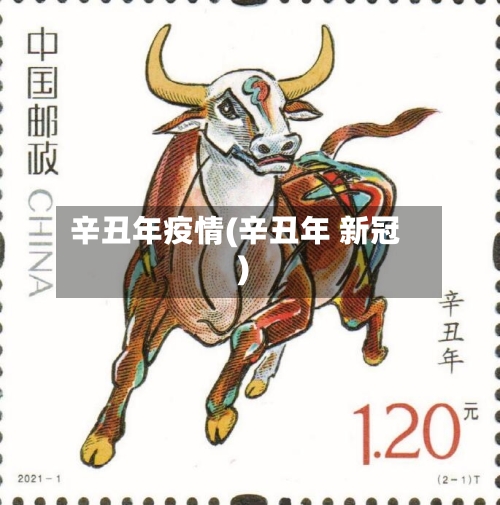 辛丑年疫情(辛丑年 新冠)