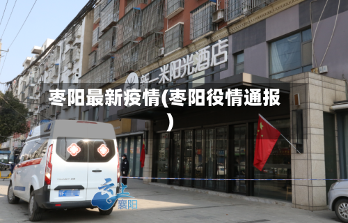枣阳最新疫情(枣阳役情通报)