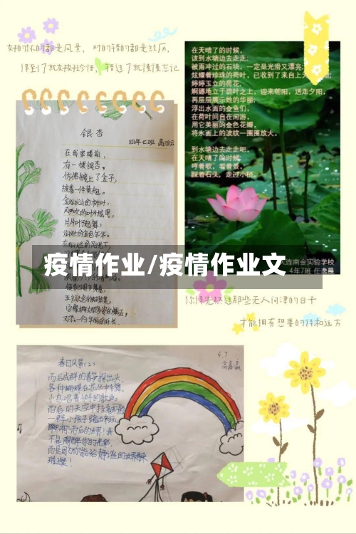 疫情作业/疫情作业文