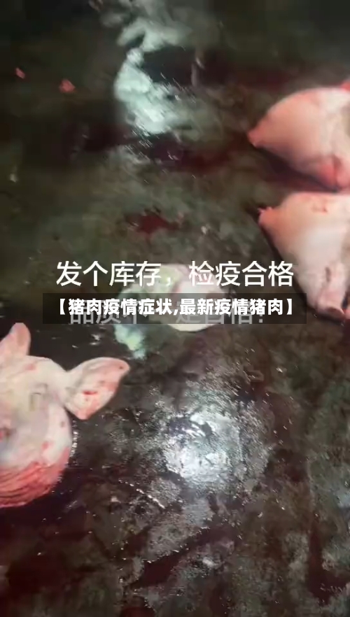 【猪肉疫情症状,最新疫情猪肉】