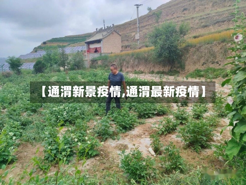 【通渭新景疫情,通渭最新疫情】