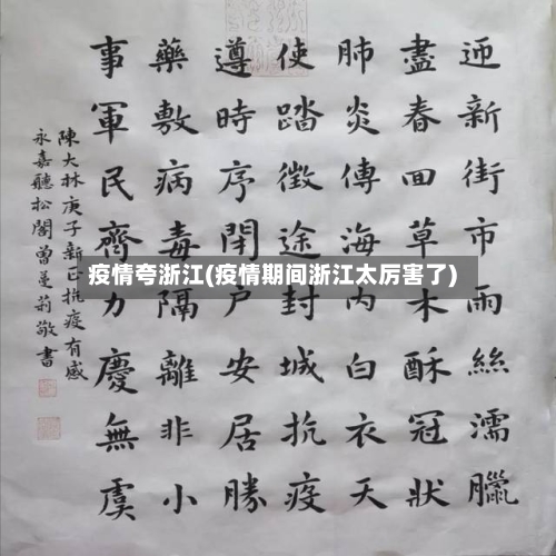 疫情夸浙江(疫情期间浙江太厉害了)