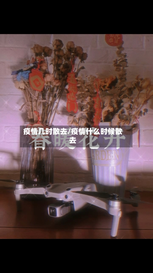 疫情几时散去/疫情什么时候散去