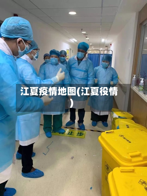 江夏疫情地图(江夏役情)
