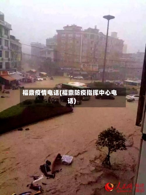 福鼎疫情电话(福鼎防疫指挥中心电话)
