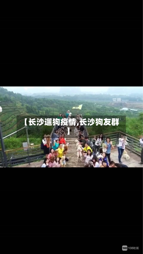 【长沙遛狗疫情,长沙狗友群】
