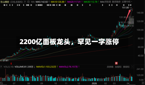 2200亿面板龙头，罕见一字涨停