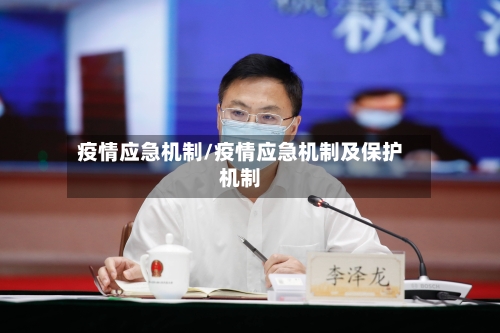 疫情应急机制/疫情应急机制及保护机制