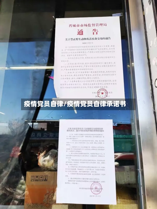 疫情党员自律/疫情党员自律承诺书
