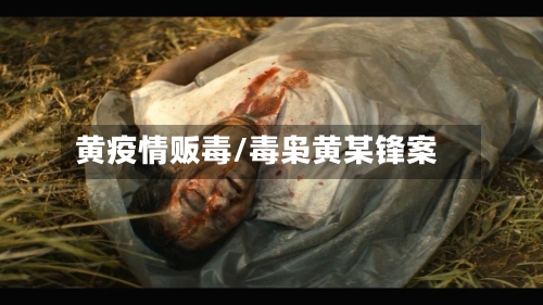 黄疫情贩毒/毒枭黄某锋案