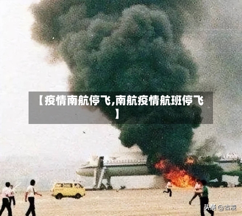 【疫情南航停飞,南航疫情航班停飞】
