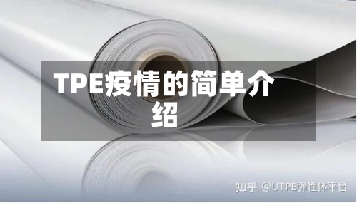 TPE疫情的简单介绍