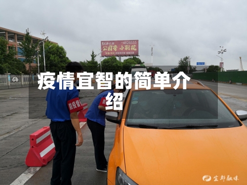 疫情宜智的简单介绍