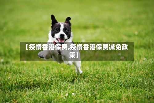 【疫情香港保费,疫情香港保费减免政策】
