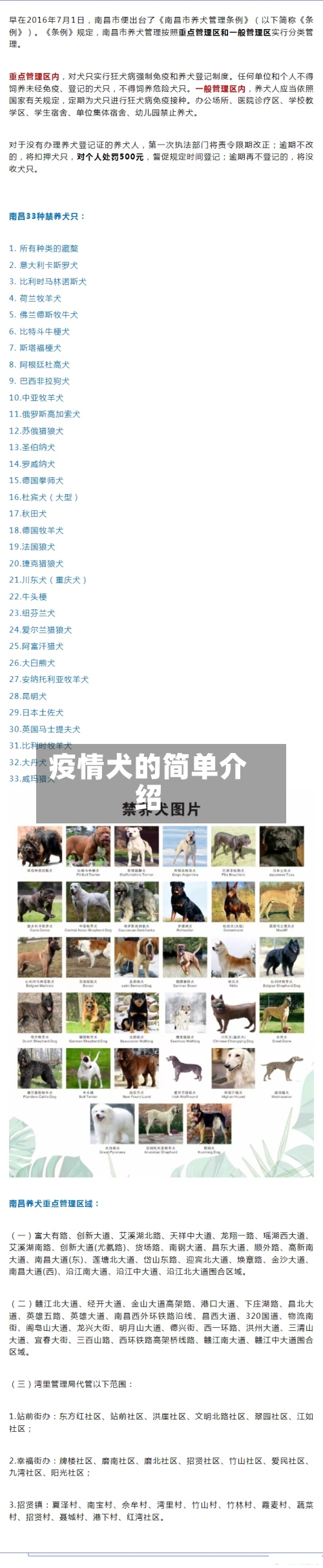 疫情犬的简单介绍