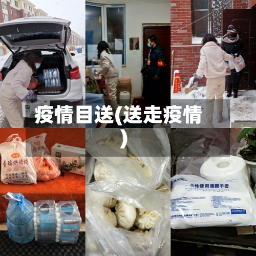 疫情目送(送走疫情)