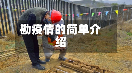 勘疫情的简单介绍