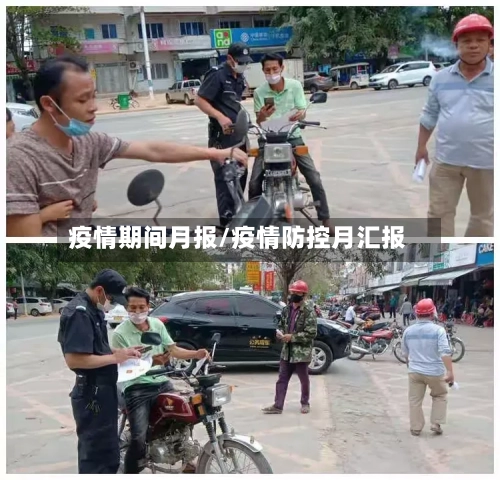疫情期间月报/疫情防控月汇报