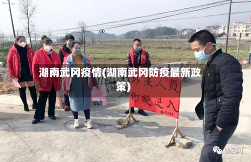 湖南武冈疫情(湖南武冈防疫最新政策)