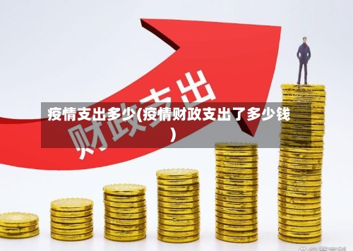 疫情支出多少(疫情财政支出了多少钱)