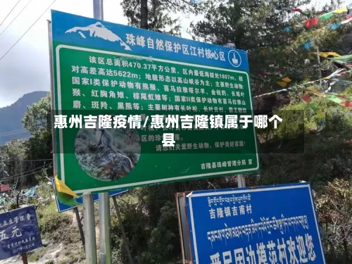 惠州吉隆疫情/惠州吉隆镇属于哪个县