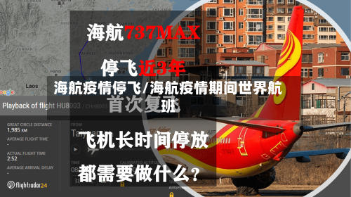 海航疫情停飞/海航疫情期间世界航班