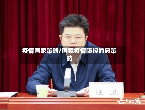 疫情国家策略/国家疫情防控的总策略