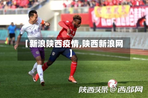 【新浪陕西疫情,陕西新浪网】