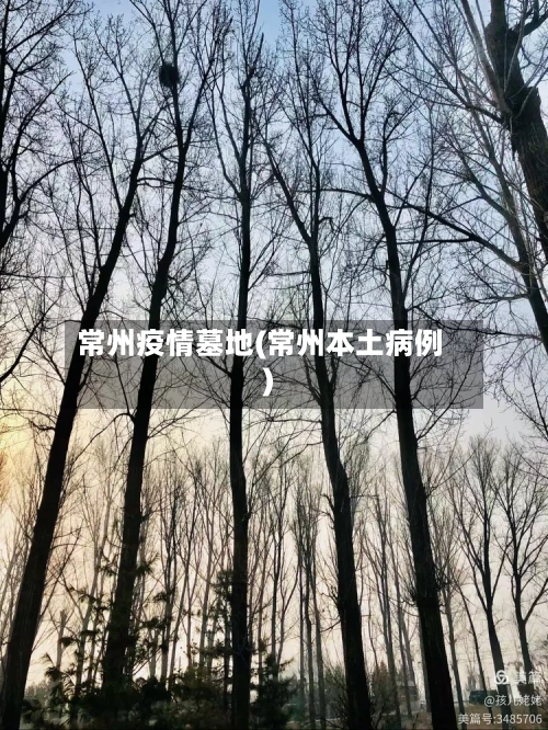 常州疫情墓地(常州本土病例)
