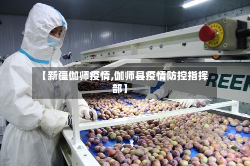 【新疆伽师疫情,伽师县疫情防控指挥部】