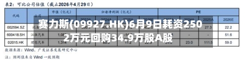 赛力斯(09927.HK)6月9日耗资2502万元回购34.9万股A股